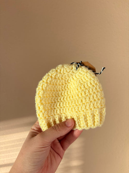 Handmade Baby Hat (Donated to a Local Pregnancy Center)